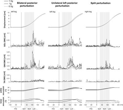 Stumbling Reactions in Partial Gravity – Neuromechanics of Compensatory Postural Responses and Inter-Limb Coordination During Perturbation of Human Stance